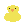 image of a duck